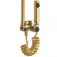 Душ колона Helix Gold REA-P6619