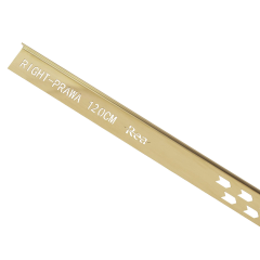 Лайсна за душ кабина 120cm Brush Gold Дясна REA-K3207