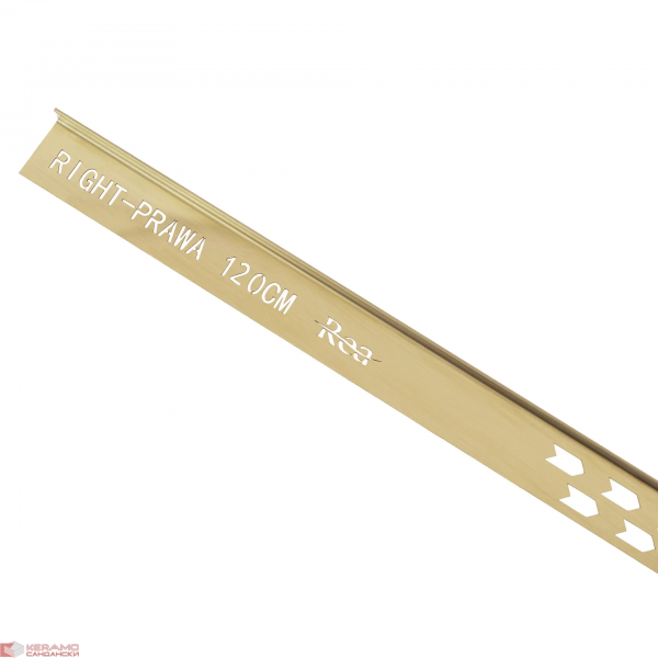 Лайсна за душ кабина 120cm Brush Gold Дясна REA-K3207