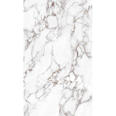 Гранитогрес Arabescato gold 120/60