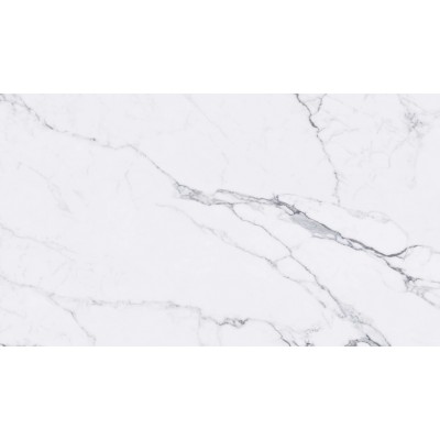 Гранитогрес Statuarietto white 120x60