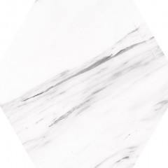 Гранитогрес Hehagonal25  Carrara 22x25