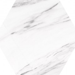 Гранитогрес Hehagonal25  Carrara 22x25