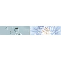 Гранитогрес Galia 20Х75