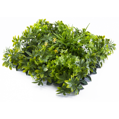 Растения GREEN WALL >> ICNT 135050