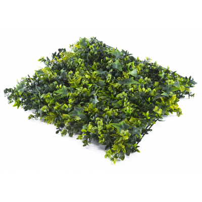 Растения GREEN WALL >> ICNT 145050
