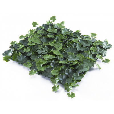 Растения GREEN WALL >> ICNT 155050