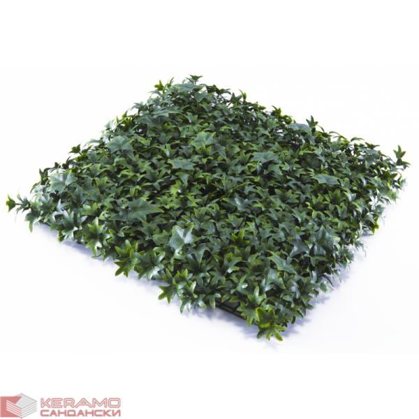 Растения GREEN WALL >> ICNT 165050