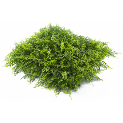 Растения GREEN WALL >> ICNT 175050