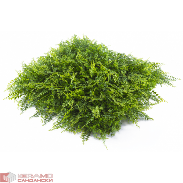 Растения GREEN WALL >> ICNT 175050
