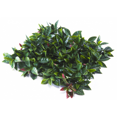 Растения GREEN WALL >> ICNT 185050