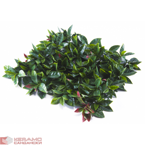 Растения GREEN WALL >> ICNT 185050