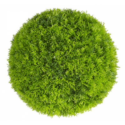 Растения GREEN NATURE>> ICNT 190038
