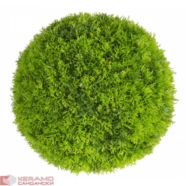 Растения GREEN NATURE>> ICNT 190038