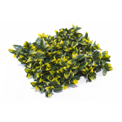 Растения GREEN WALL >> ICNT 195050