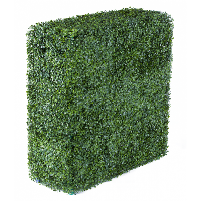 Растения GREEN WALL >> ICNT 197525