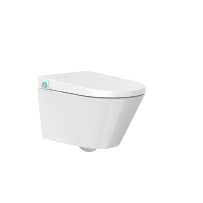 Стенна тоалетна чиния  ICC  5938 SMART
