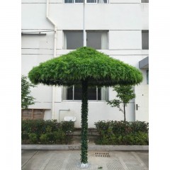 Растения GREEN WALL >> ICNT 185050