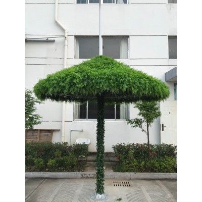 Растения GREEN WALL >> ICNT 195050