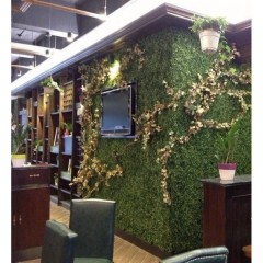 Растения GREEN WALL >> ICNT 185050