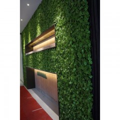 Растения GREEN WALL >> ICNT 185050