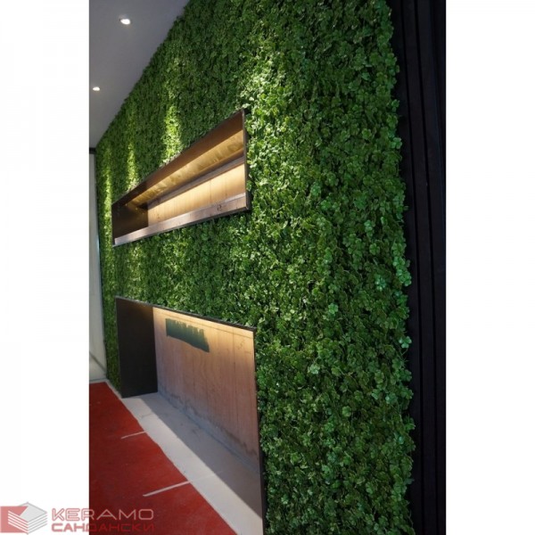 Растения GREEN WALL >> ICNT 185050