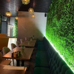 Растения GREEN WALL >> ICNT 185050