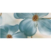 Гранитогрес Galia 20Х75