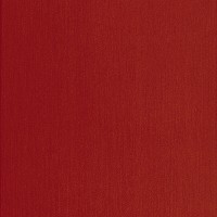Гранитогрес Galia 20Х75